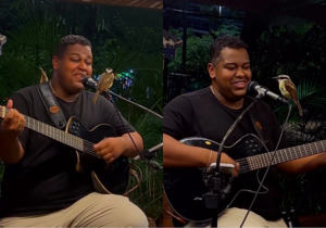 Passarinho pousa no microfone durante um show ao vivo e surpreende o cantor e o público