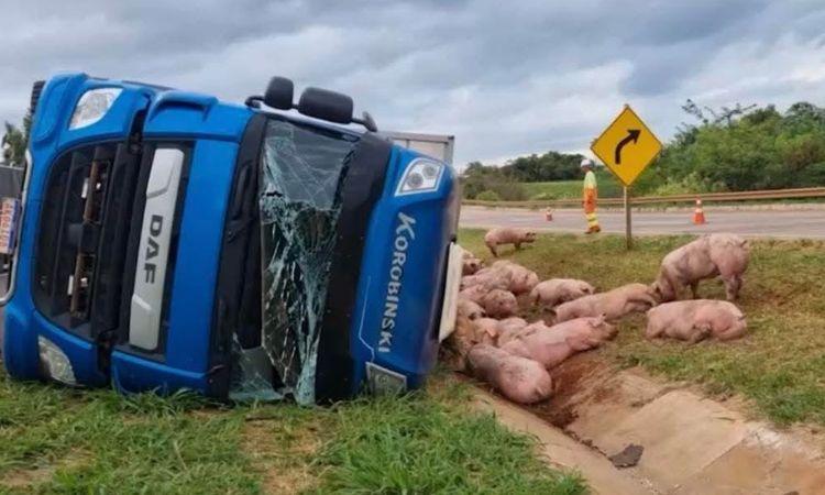 Israel & Rodolffo: cantor Israel sofre acidente na BR-153 em Goiânia após atropelar cavalo na pista